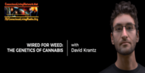 Read more about the article Are You Wired for Weed? Genetics and Cannabis with David Krantz