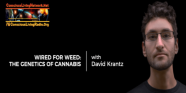 You are currently viewing Are You Wired for Weed? Genetics and Cannabis with David Krantz