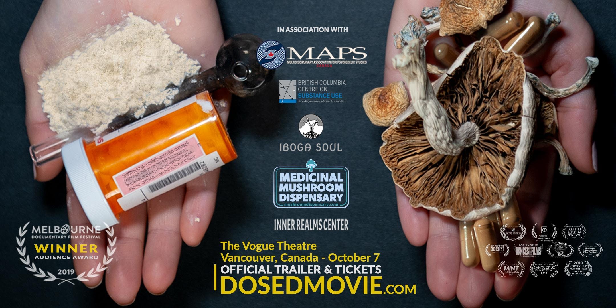 Read more about the article DOSED at the Rio Theatre